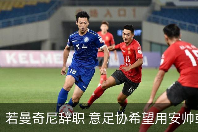 若曼奇尼辞职 意足协希望用安帅或卡纳瓦罗替代
